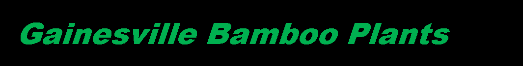 Text Box:   Gainesville Bamboo Plants