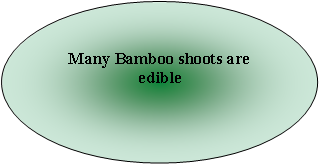 Oval: Many Bamboo shoots are edible